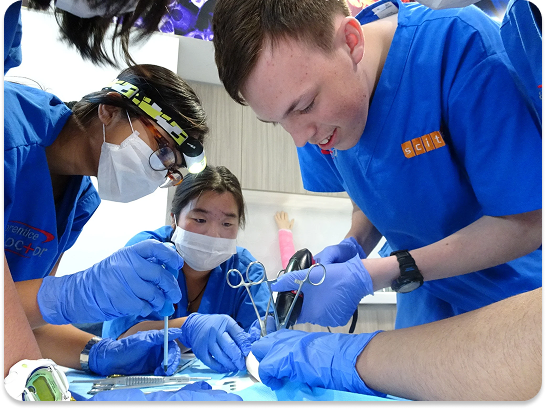 Live training event photo 1